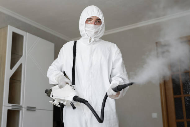 Best Residential Mold Inspection & Testing in Gleason, TN